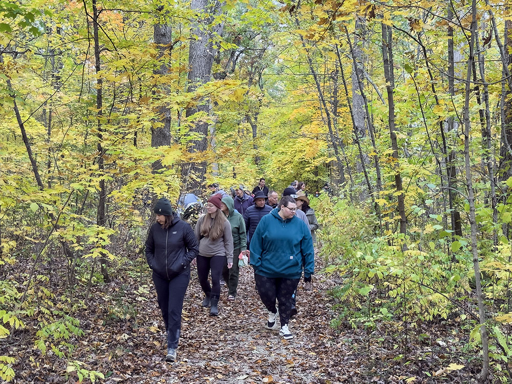 The group setting out on the trail into the forest.