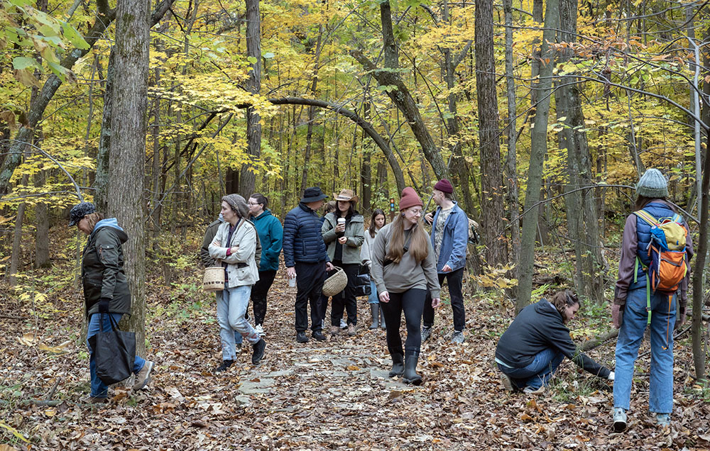 This section of Muskego Park is known as the Hardwood State Scientific Area.