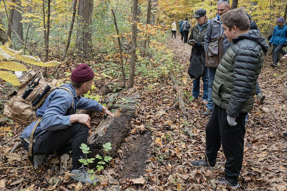 Turning over a log to see what grows underneath.
