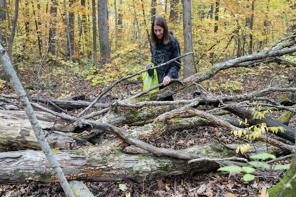 A fallen tree hosts a variety of fungi.