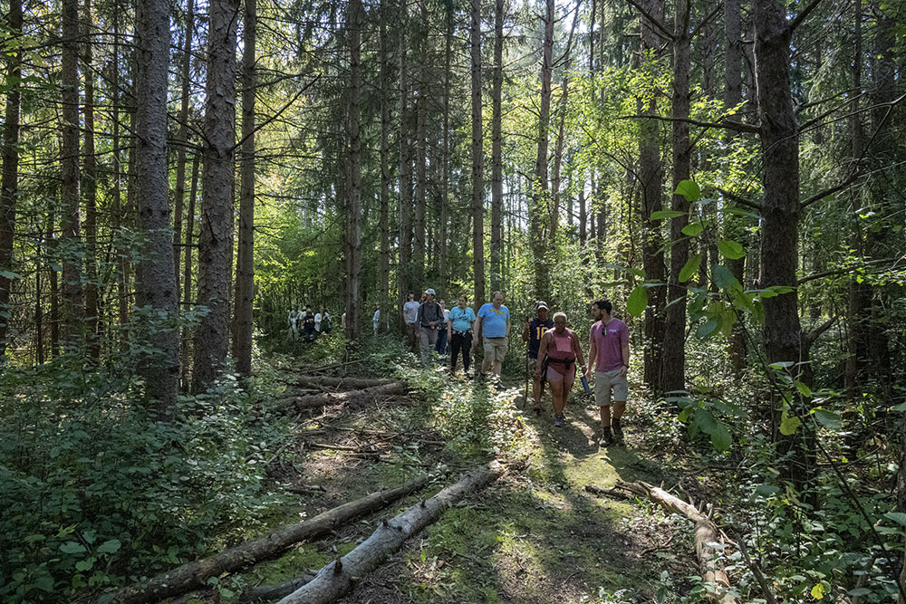 I've been documenting the monthly "A Walk in the Park" program sponsored by Milwaukee County Parks and Milwaukee Parks Foundation for over two years and this is my favorite image so far. It is from "A Walk in Kohl Park," Milwaukee.