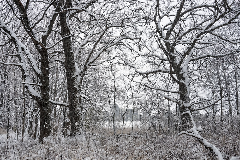 After Thanksgiving a November blizzard dumped a foot or more of snow throughout the metro area. I spent two days tramping around in it, managing to get to four different parks for the story: Winter Paints the Urban Wilderness Wilder!