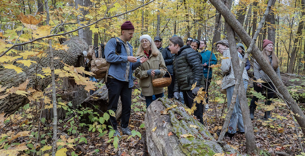 A group of foragers finding fungi in the forest