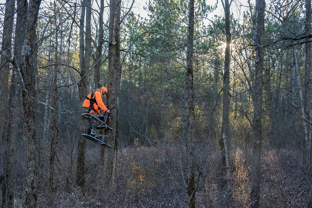 A hunter ratchets his cage-like blind up a small tree in the glow of the sinking autumn sun.