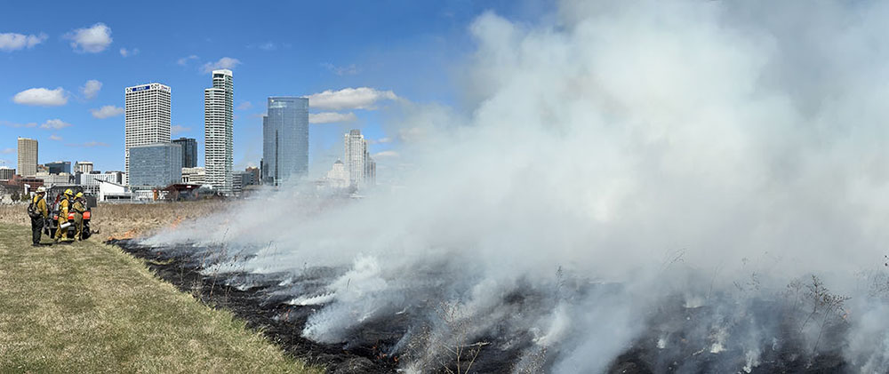 It isn't every day that you see the smoke from a prairie fire rise up and make the city skyline disappear. In fact, this was the first-ever controlled burn at Lakeshore State Park. I was honored to be permitted to document it. The story: Under Control: Burning Lakeshore State Park!