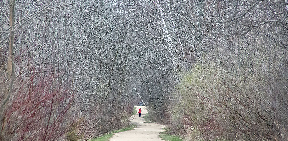 A solitary figure in the distance on a path in Lion's Den Gorge