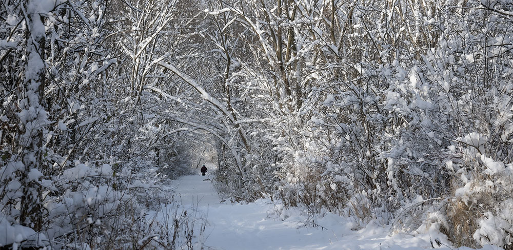 A figure appears far down a snowy trail in Stigler Nature Preserve
