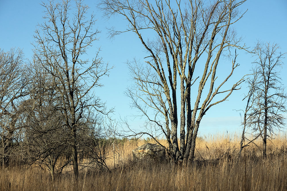 A domed, camouflage-patterned blind nestled among the trees at the edge of the prairie.