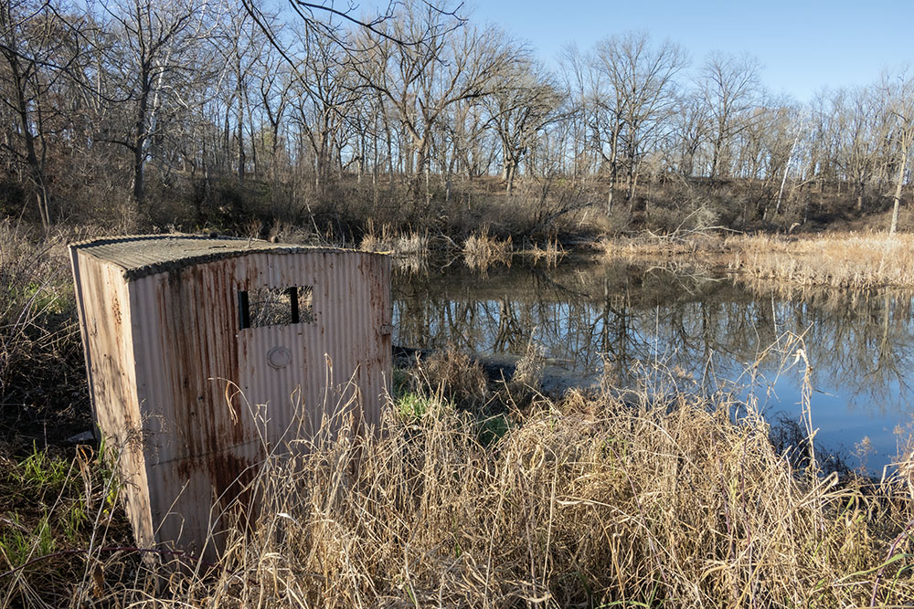 An old duck blind faces out towards the open water of a wetland.