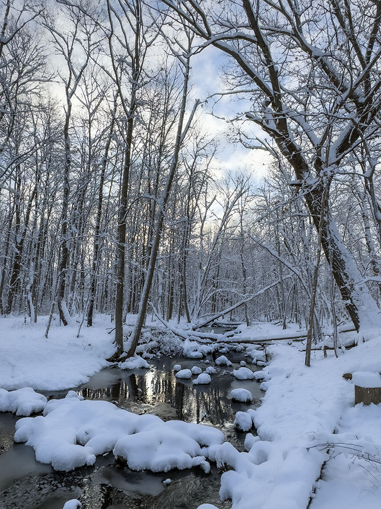 Snowy creek at sunrise