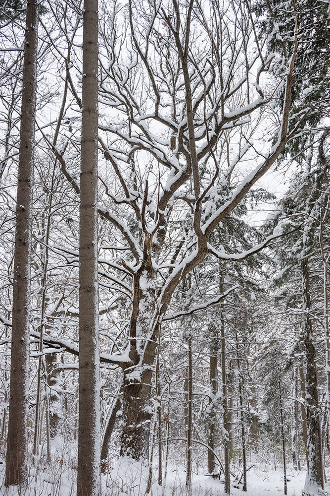 Straight and crooked