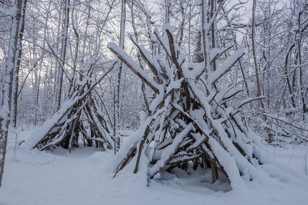 Stick forts in snow
