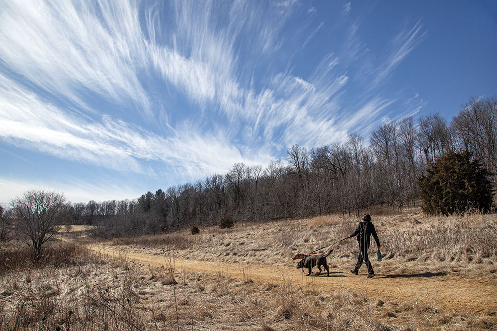 Finally, as promised, here is my favorite image of 2025. I love the bold, jaunty stride of the woman as she and her dogs head out into a natural world made especially exuberant by the sweeping skyscape that complements the sweep of the land and the trail. To me it symbolizes the opportunity to commune with nature presented by the wealth of parks and preserves in SE Wisconsin if only we choose to go out and enjoy them. Taken at Water Spirits Preserve near West Bend and seen here for the first time. 