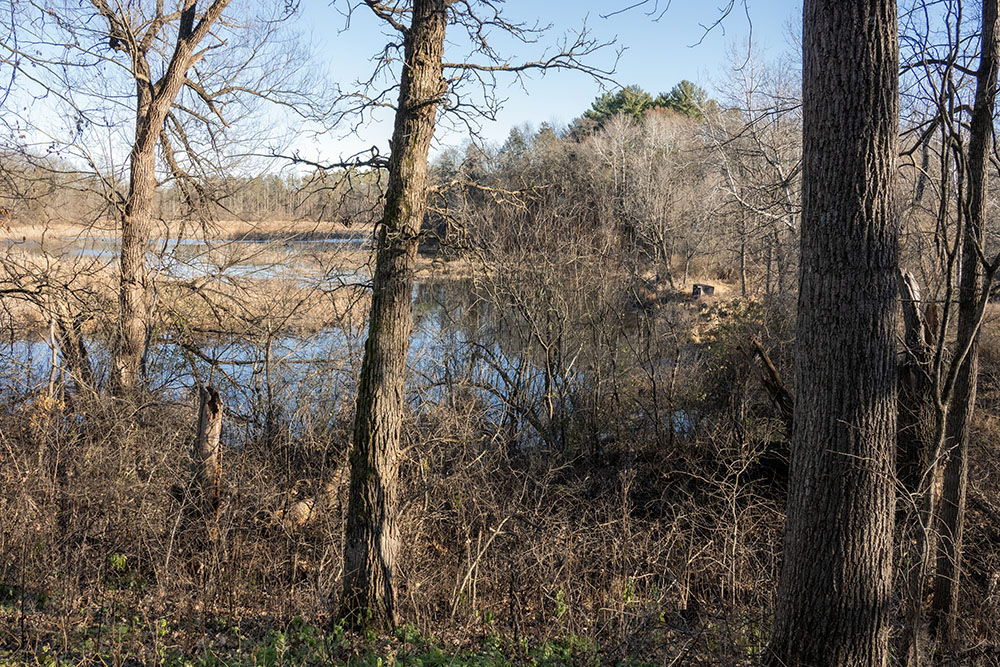 View from the ridge overlooking the wetland.