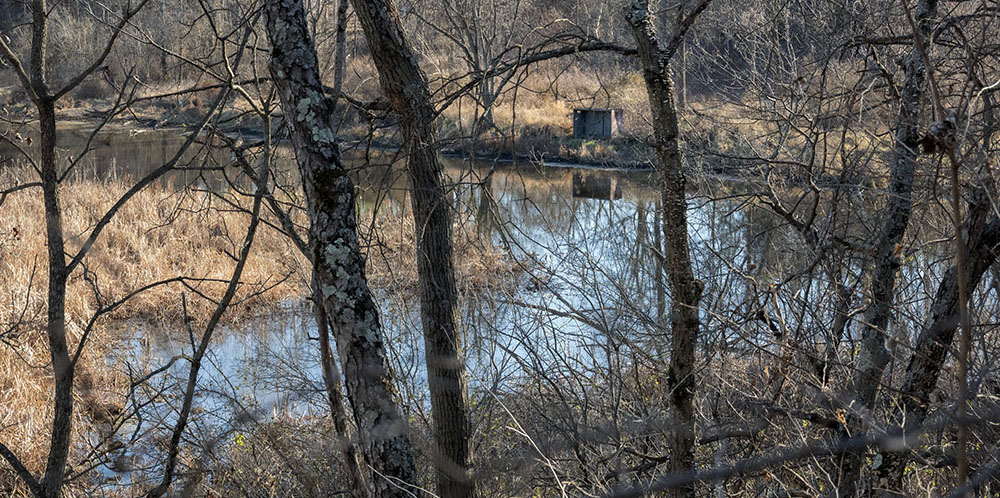 Hunting blind on wetland in Lulu Lake State Natural Area