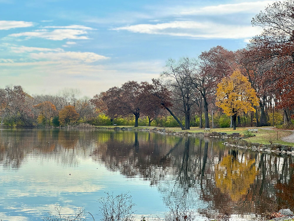 The Jackson Park lagoon in shades of autumn.