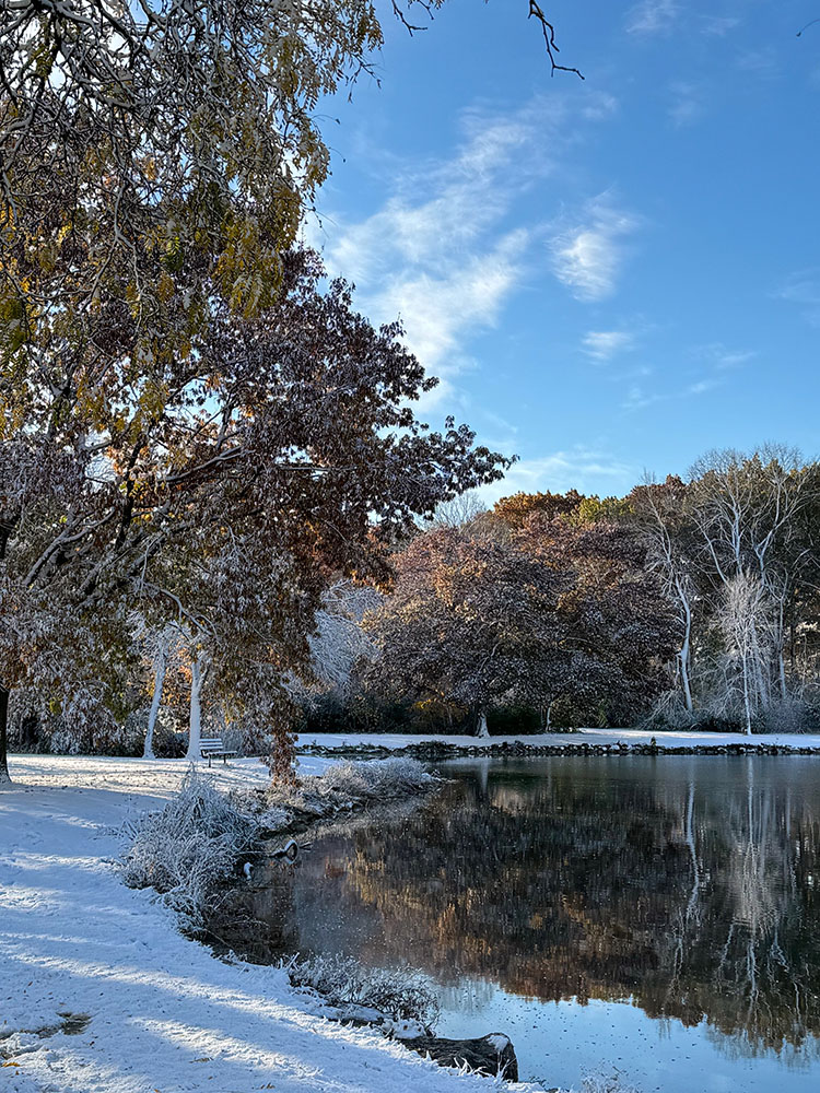 The lagoon in winter colors.