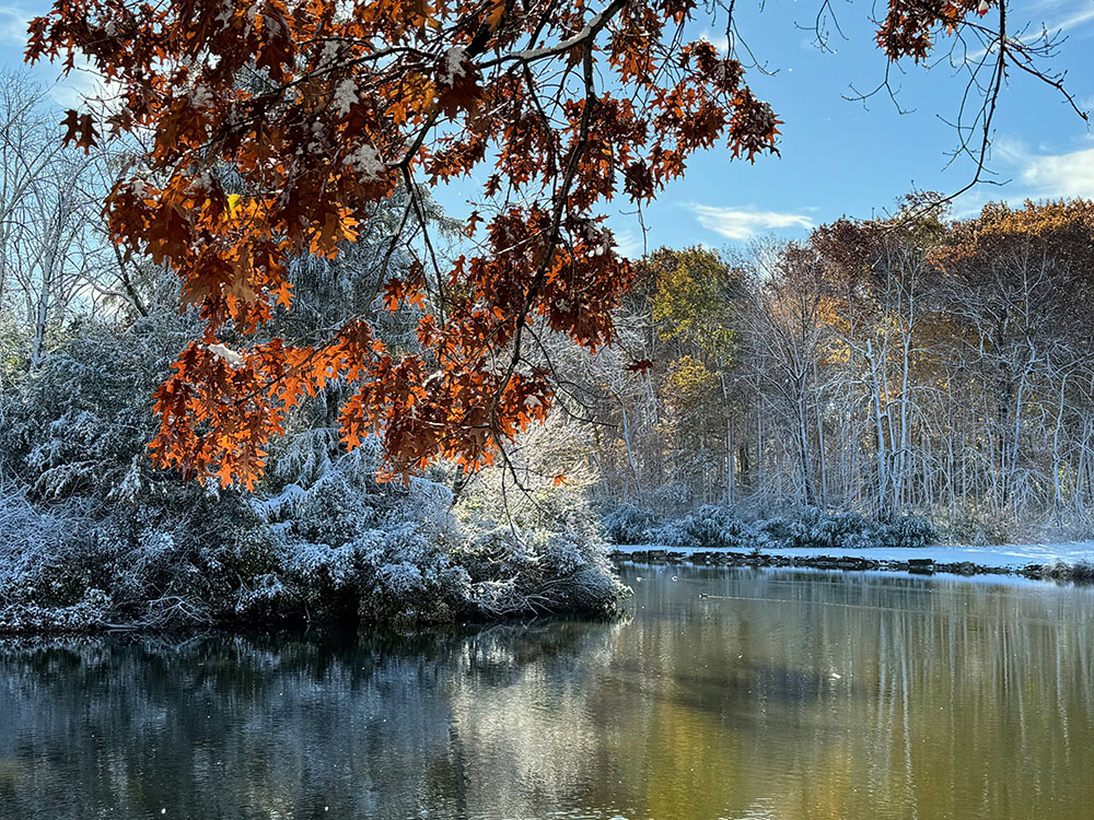 Sunlight glows through snow-dusted trees around the lagoon.