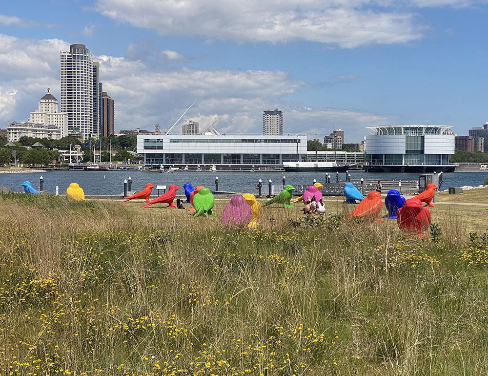In June, 2021, Lakeshore State Park hosted a public art installation composed of giant plastic swallows near the site of the proposed building.