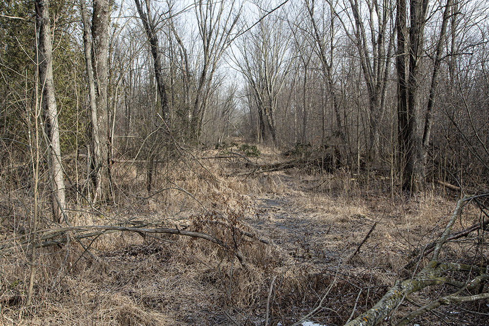 Jackson State Wildlife Area, which includes Jackson Marsh State Natural Area, is one of the larger wildlife areas at 2,600 acres. Story link: Degrees of Wilderness … and Solitude.