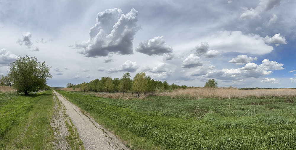 Paradise Valley State Wildlife Area near Dousman has four separate parcels. As you can see, there's a road down the middle of this one. But no trails otherwise.