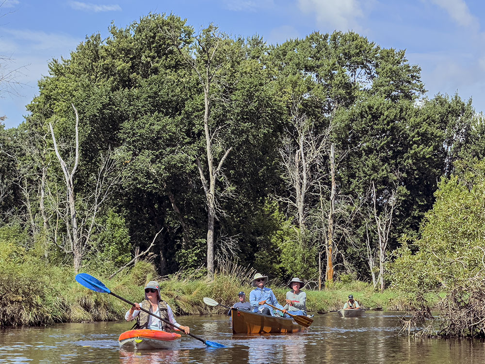 Paddling the wooded southern segment of the tour.