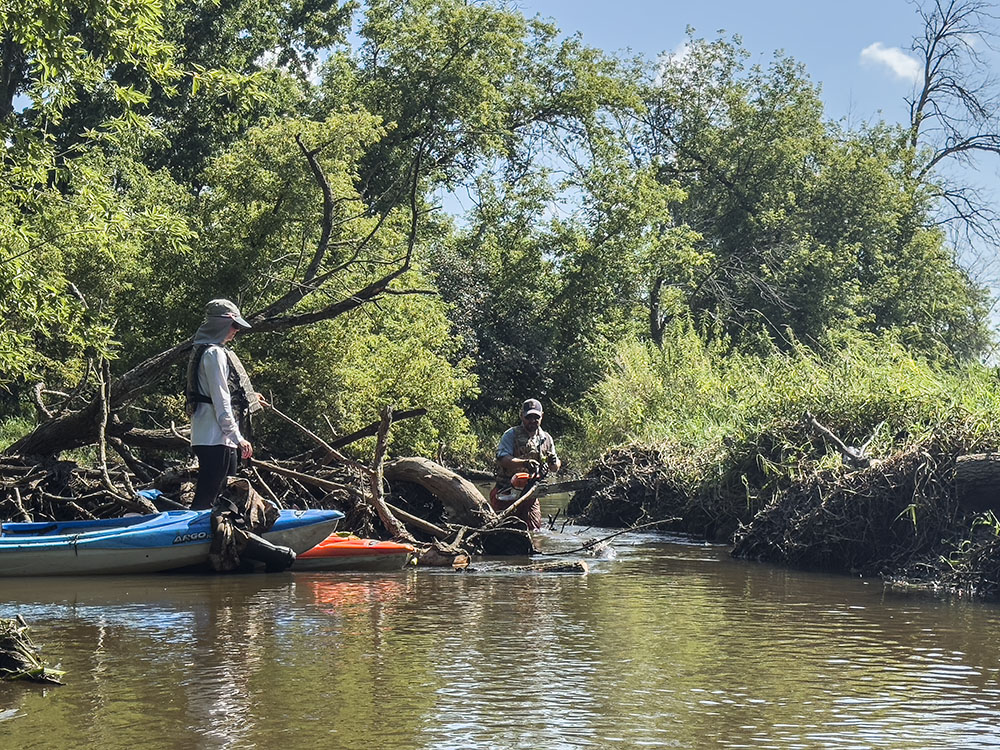 Peterson uses a chainsaw to clear a logjam. These downed trees had been submerged under higher water when the DNR team pre-paddled the tour route.