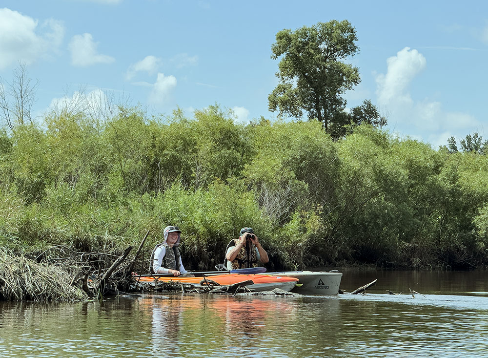 Spotting waterfowl with binoculars.