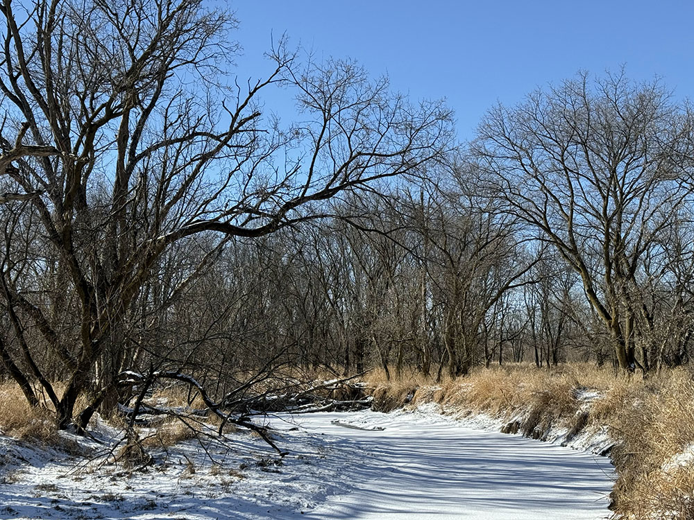 The Root River Parkway in Franklin is one of the few places in Milwaukee County that might do the trick.