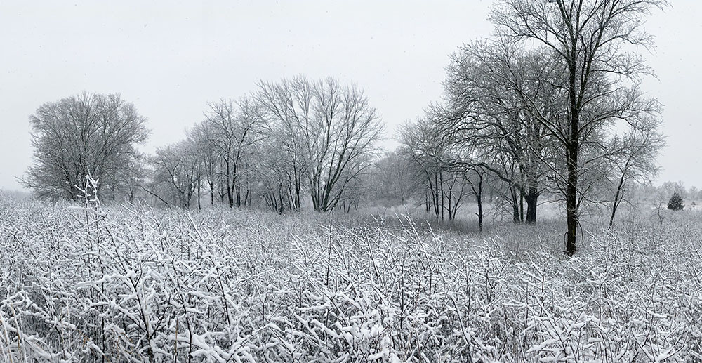 The largest parcel of parkland entirely within Milwaukee is the 868-acre Little Menomonee River Parkway, which stretches 6 miles along the waterway in the northwest corner of the city.