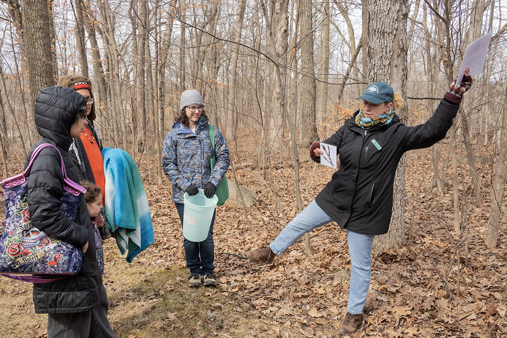 Pringle Nature Center Naturalist and tour guide Liz Alvey demonstrates "alternate branching." Maple trees have symmetrical branch structures, which is one of the ways to identify them. 