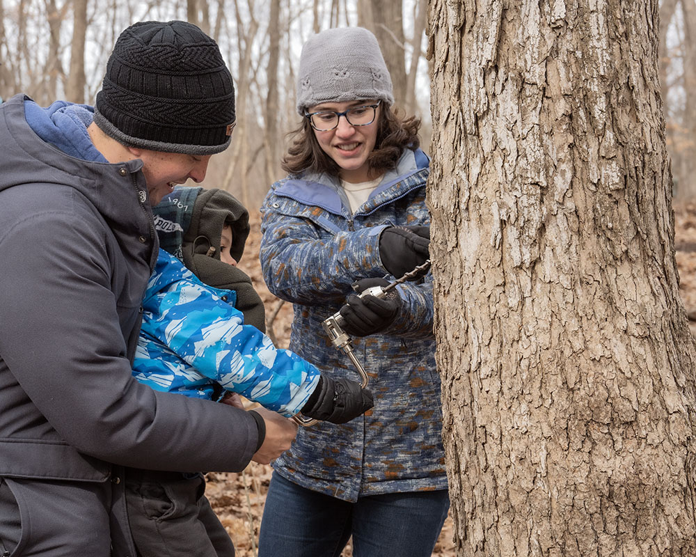 Drilling a 2-3 inch hole for the tap involves audience participation.
