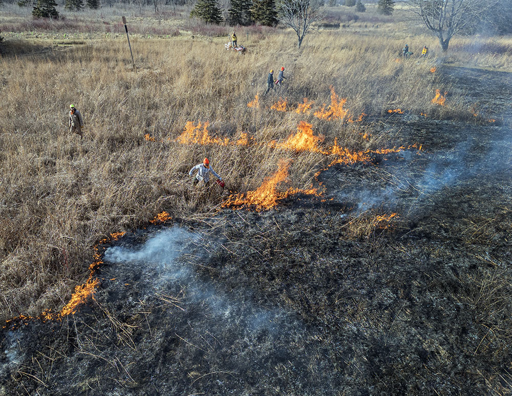 A controlled burn underway at Forest Beach Migratory Preserve near Port Washington.