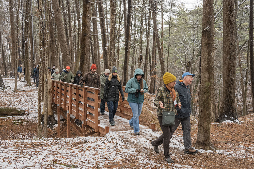 One of the small ravine crossings on Wendy's Loop trail.