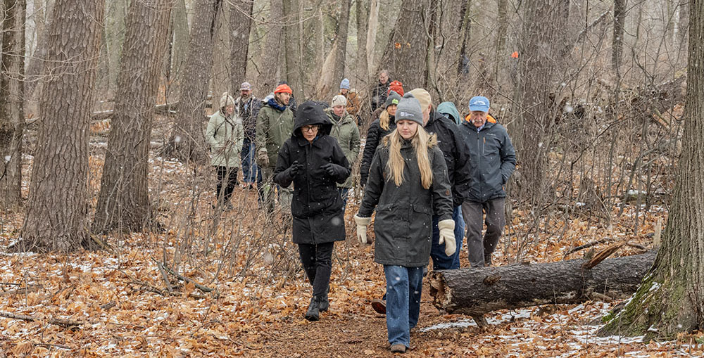 Tour group walking in woods at Donges Bay Gorge