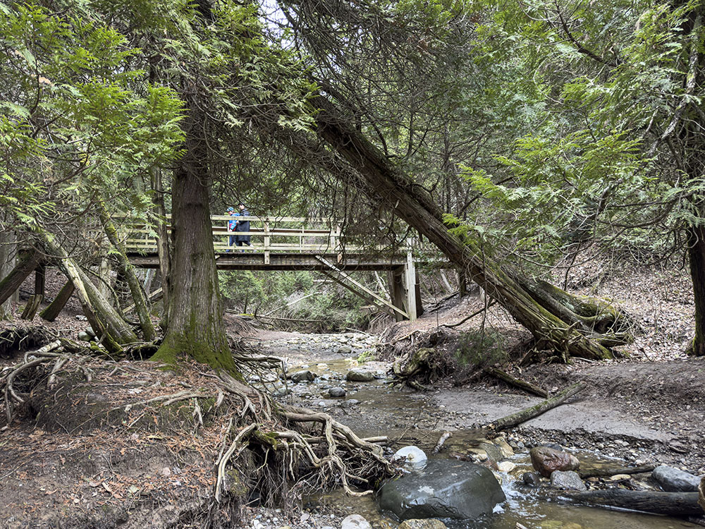 Heading back up the gorge trail.