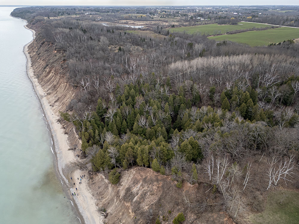 Aerial overview of the park.
