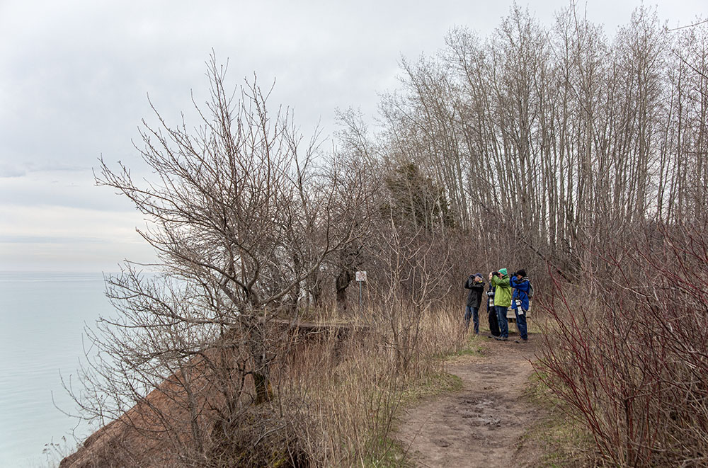 Birders atop bluff overlooking Lake Michigan.