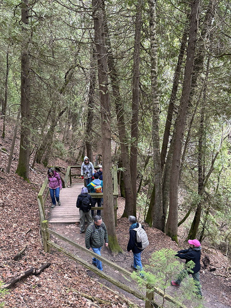 The descent into the gorge. 