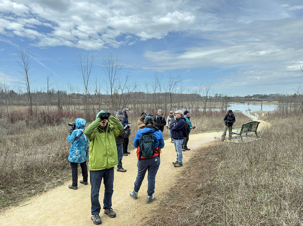 Birders on the trail to the Ulao wetland pier.