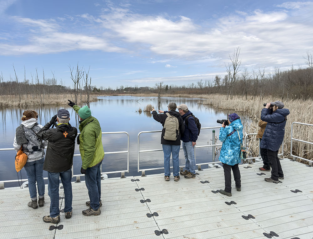 Birders on the pier spotting waterfowl. 
