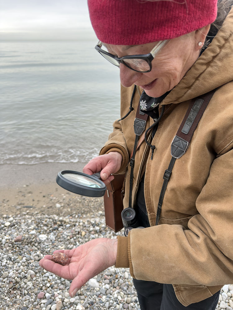 On the beach birding temporarily took a back seat to rock hunting for some. Here Deborah Lisberg examines Rhyolite with a magnifying glass.