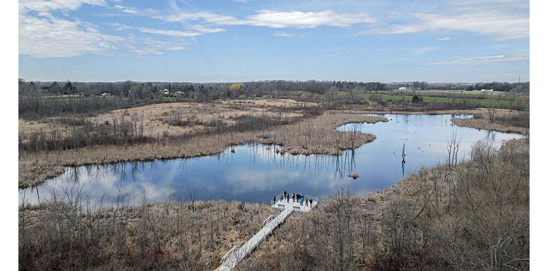 Aerial view of Ulao Wetland Habitat Area at Lion's Den Gorge