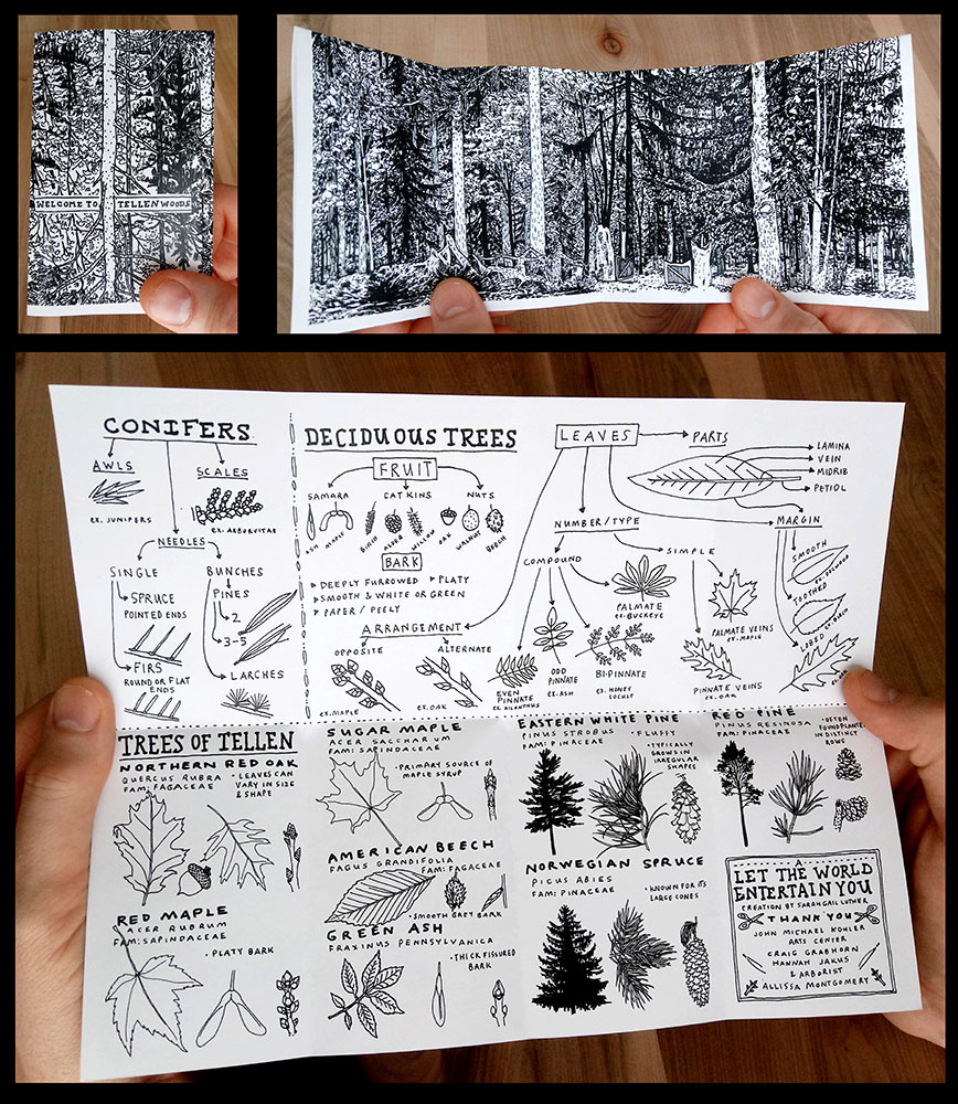 The Tellen Woods zine helps identify the different trees you'll find in the woods.