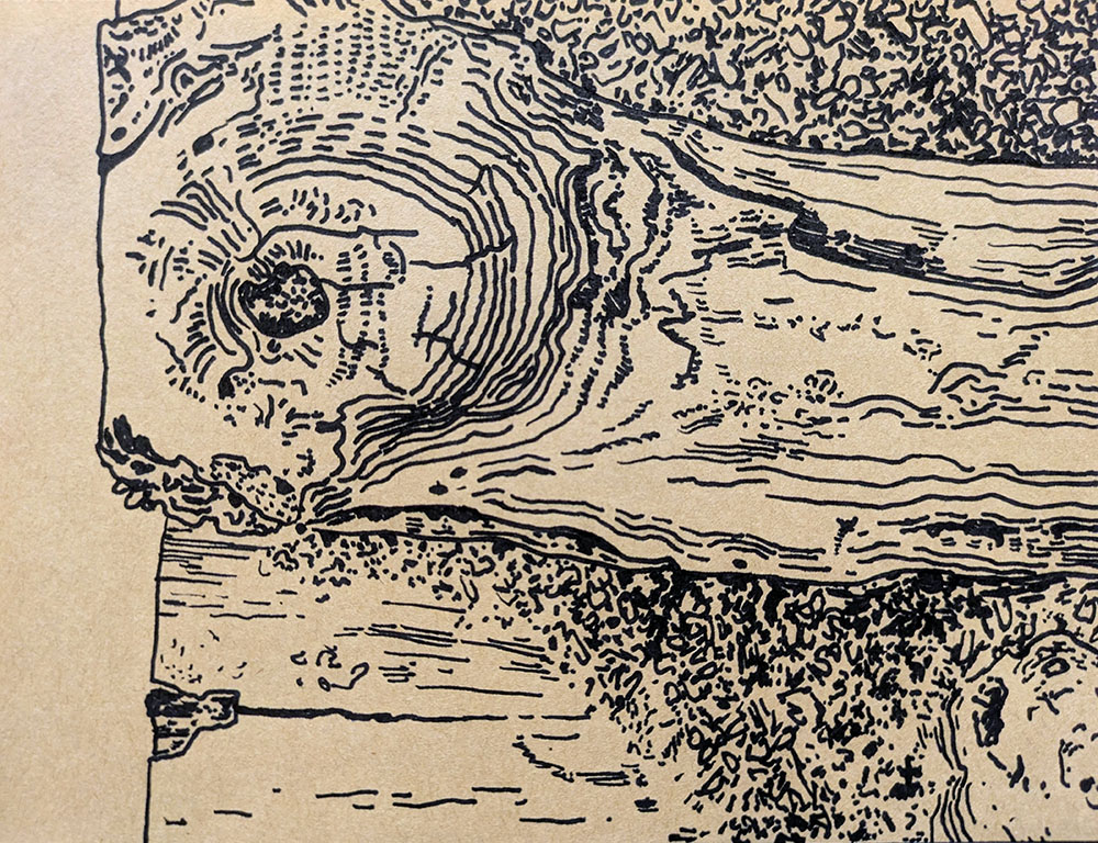 17.	Texture study from the Eschweiler Conservancy - paint pen on paper