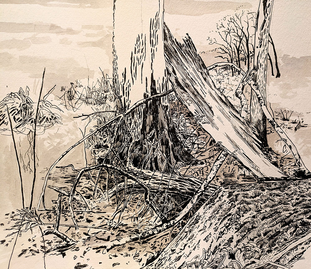 20.	Cornell Lake Drawing in Progress - Ink and watercolor on paper