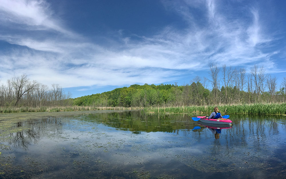 Kayaking the Oconomowoc River in the Loew Lake Unit of the Kettle Moraine State Forest.