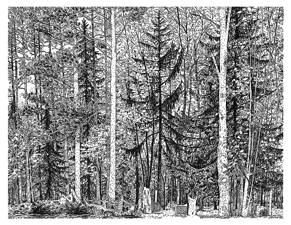 A drawing of the entrance of Tellen Woodland Sculpture Garden that became the cover of a one page zine.