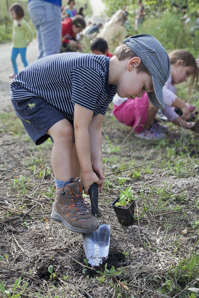 Tree planting at Three Bridges Park in Milwaukee's Menomonee River Valley.