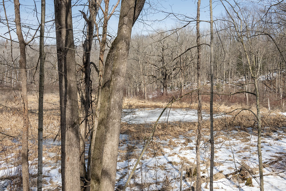 A still-frozen pond in a large kettle, as snow melts away all around.